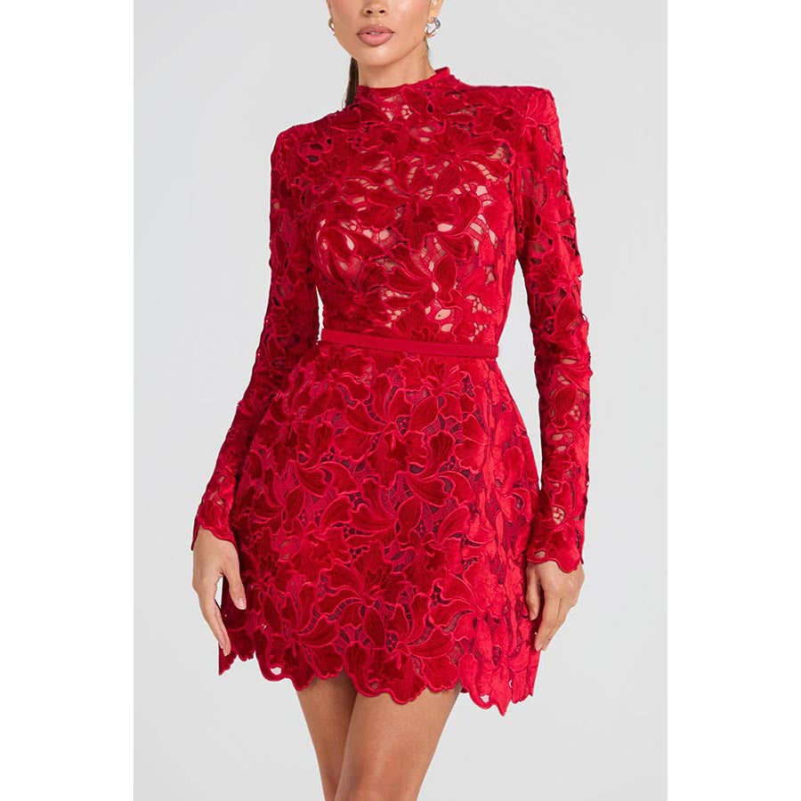 High Scoop Neck Velvet Lace Embroidered Mini Dress