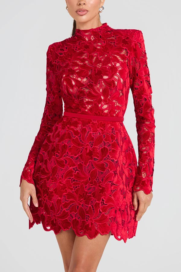 High Scoop Neck Velvet Lace Embroidered Mini Dress