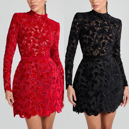High Scoop Neck Velvet Lace Embroidered Mini Dress