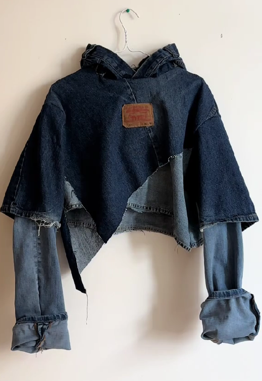 Hooded Cropped Denim Top