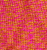 Colorful Ribbed Knit Maxi Skirt